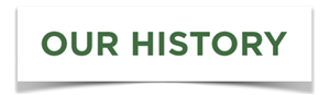 Our history 